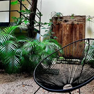 Unaluna By Rotamundos (adults Only) Tulum Pueblo