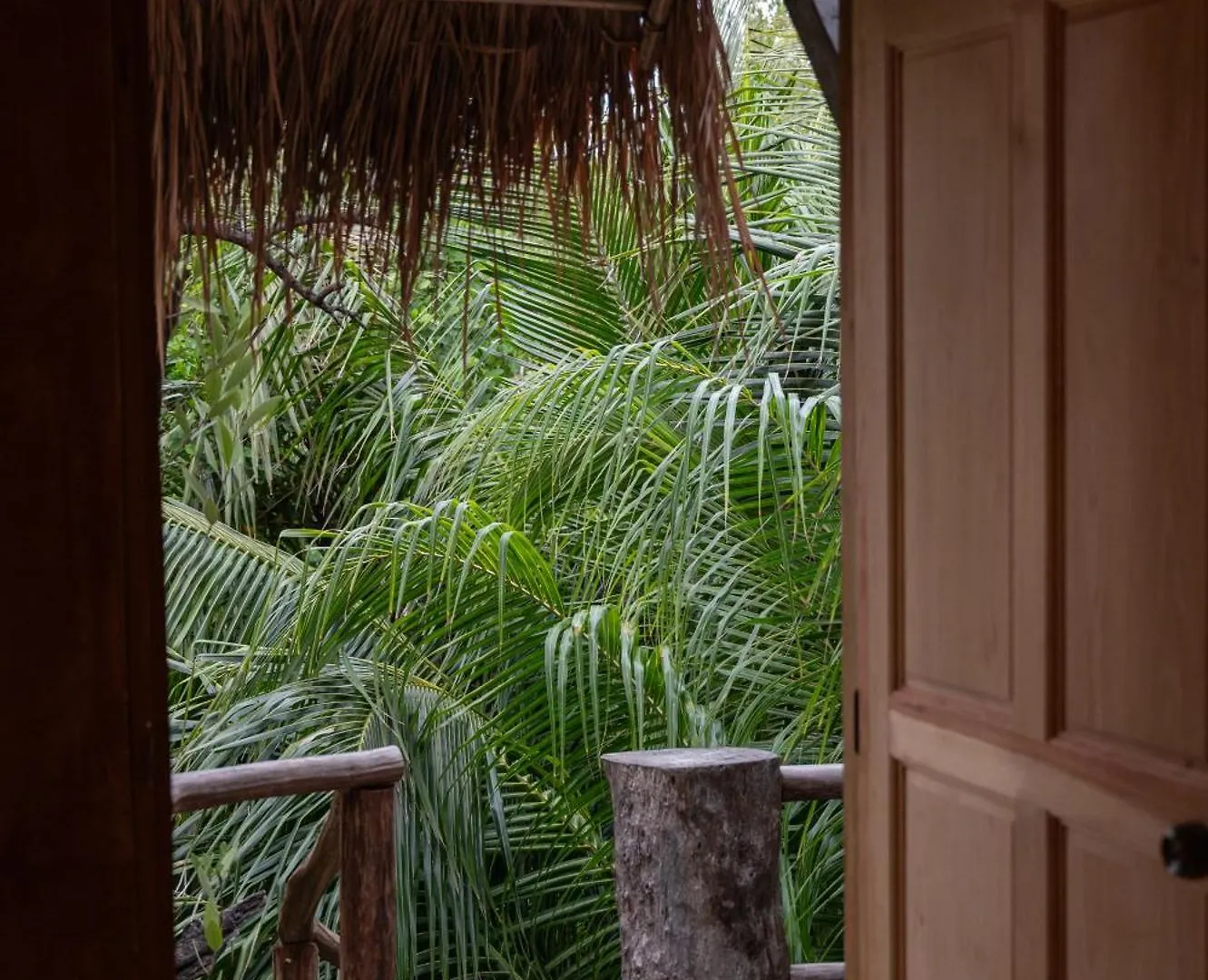 Casa Coyote Tulum Hotel