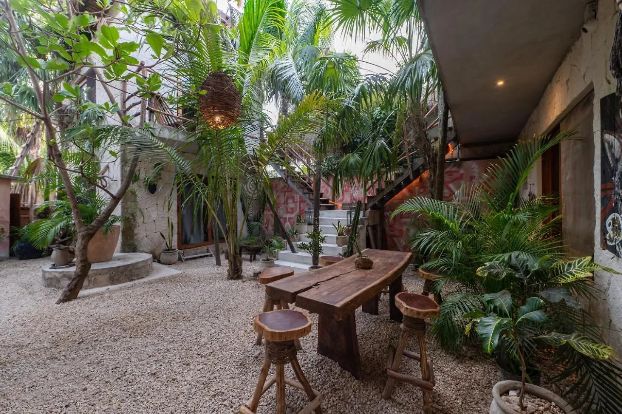 מלון Casa Coyote טולום